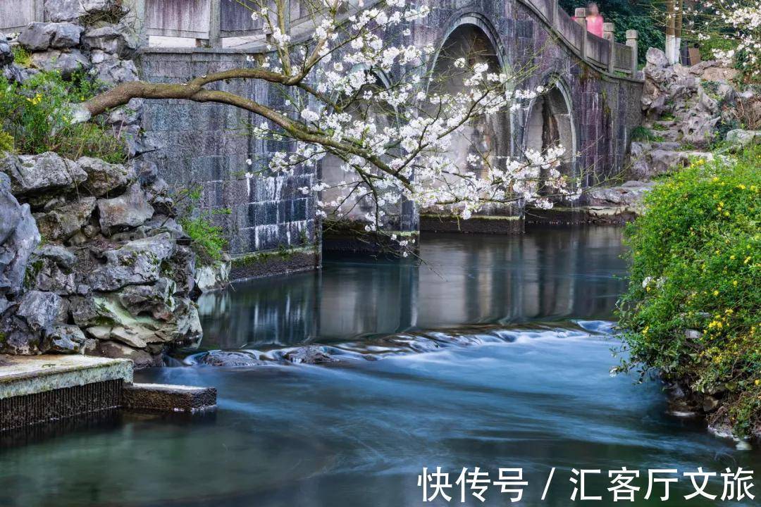 小火车|再过30天,世界又要被惊艳了!因为,中国的春天到了