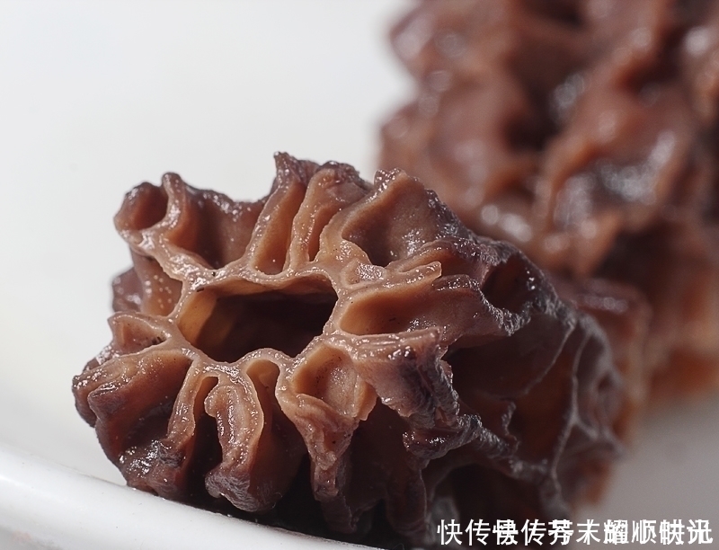 羊肚菌|农村烂在地里没人要,没想到城里人却争着买,长得丑,特好吃
