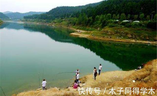 钓鱼技巧：钓鲤鱼可以追星，钓草鱼可以追风，仅限秋季使用