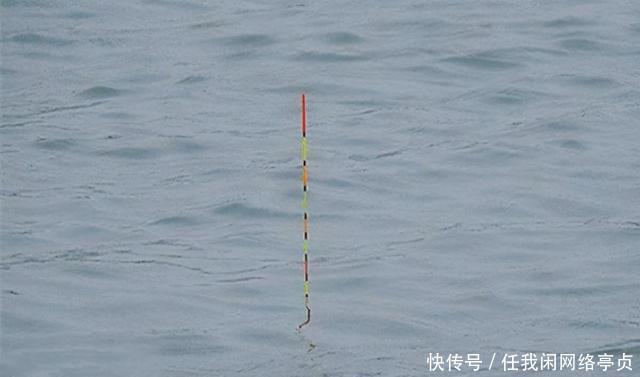 弄明白顶漂的原因,提竿抓口,中鱼率不比顿口差