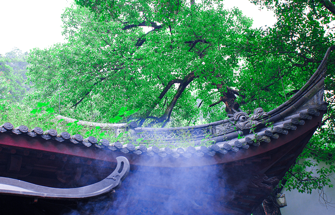 修行@我即将出家,也是“回家”