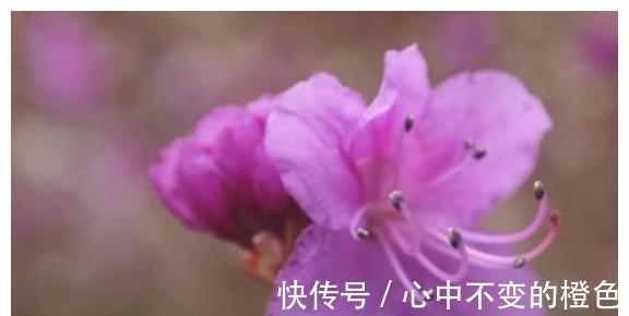 财神|抓住财神爷的手！这4大生肖在下半年里，财神去你家做客，坐等数