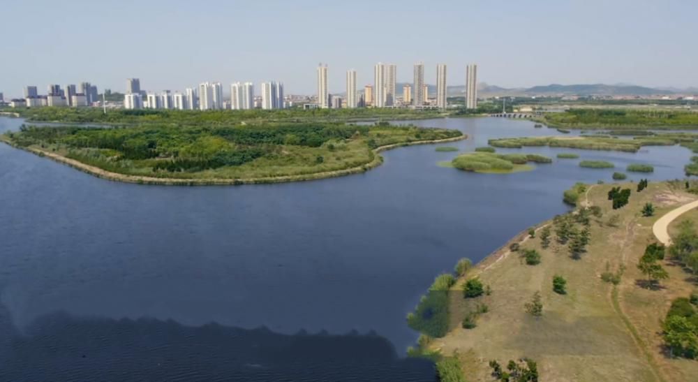 中年|世界湿地日：带你认识海阳生态之美