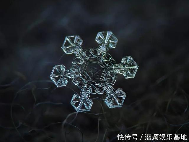 他用8个冬天拍下雪花的样子，每一朵都如此惊艳！