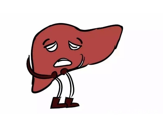 帮凶|一个肝的自述我从肝炎到肝癌,吸烟、喝酒并不是真的“帮凶”