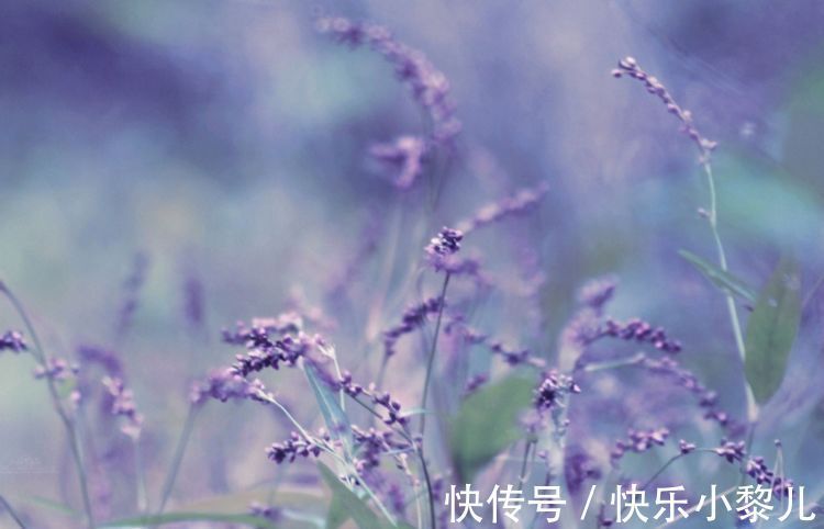 虎年|虎年比牛年更富,赚钱数字有增无减,生活不再有苦难言的生肖