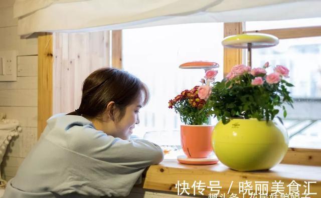 养花新手时常犯的5个养花错误，看似很美丽，实际很费钱