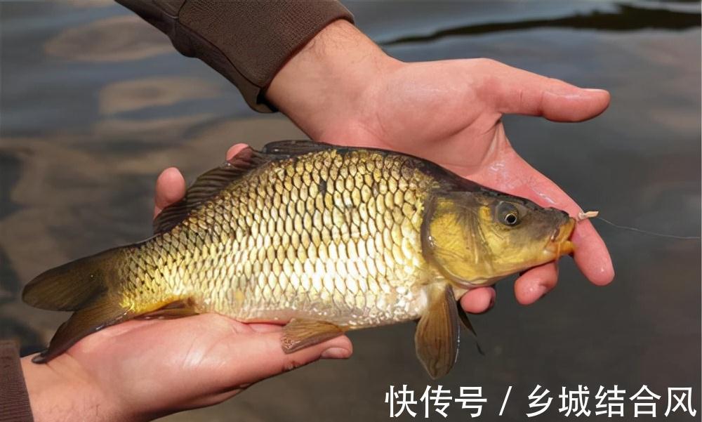 为什么总是钓不到鱼,因为你根本没弄明白钓鱼的三要素