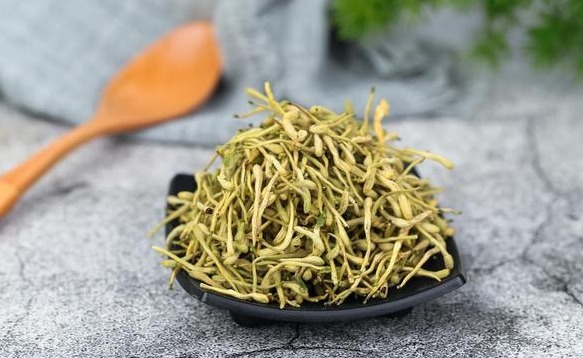 汇总|每天学一味中药汇总高血压、糖尿病、心脏病，中医都有什么药