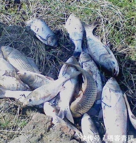 城里人|农村老汉做“婴儿船”下河钓鱼,城里人说他傻,上岸后众人傻眼了