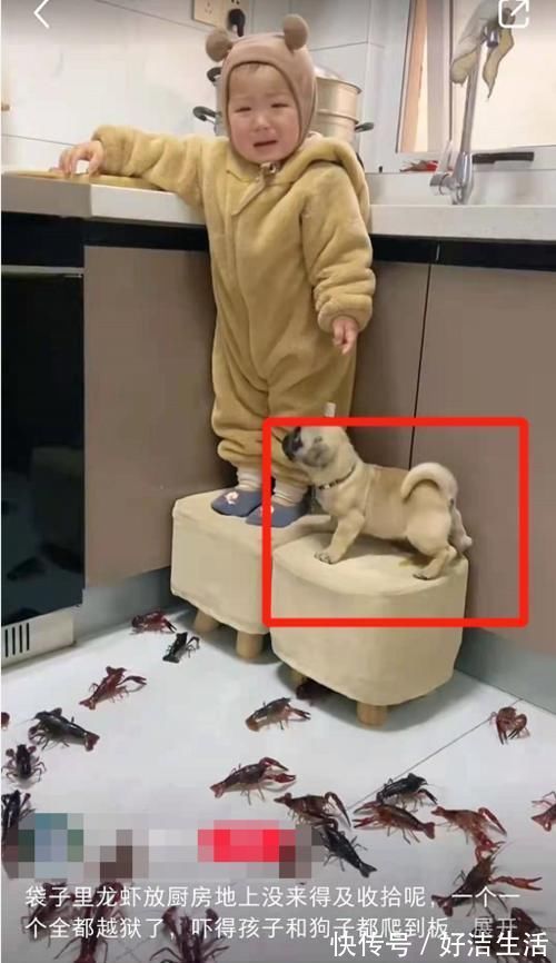 娃子|现代妈妈带娃图鉴:萌娃遇到“危险”让他哭,先拍个“皂片”发圈