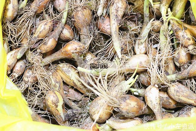 味道|老爸去亲戚家串门,跨市买回一大袋这东西,三块钱一斤,味道真好