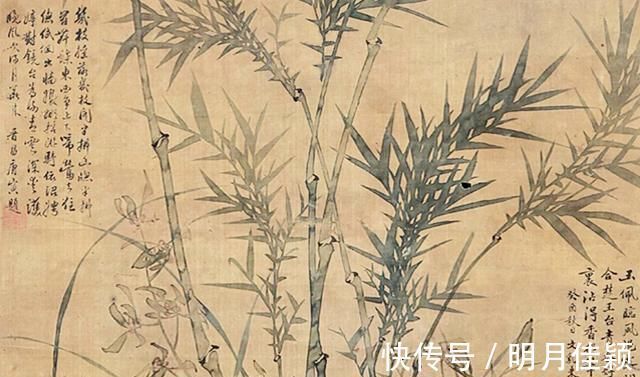 绘画|26岁小伙画竹子,作品堪比郑板桥,网友:这才是真正的绘画艺术