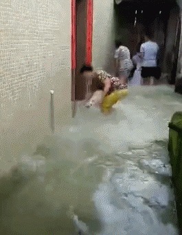 |搞笑GIF二十九期!我当时躲在窗帘后面害怕极了