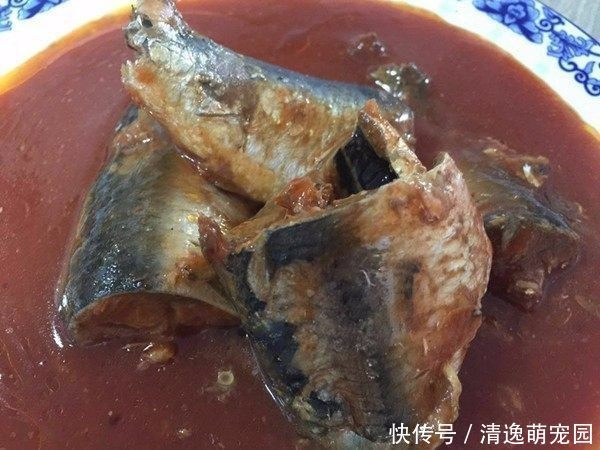 儿媳妇|夫妻回农村老家,父母准备一大桌菜,媳妇吃两口就不想吃了