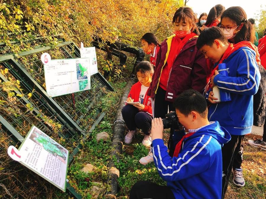 课堂|双减进行时｜山大辅仁学校：让深度学习真实发生，共享生命成长