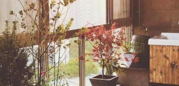 阳台|别再用老式阳台了,只需稍微改动一下,赏花赏鱼赏风景,好看极了