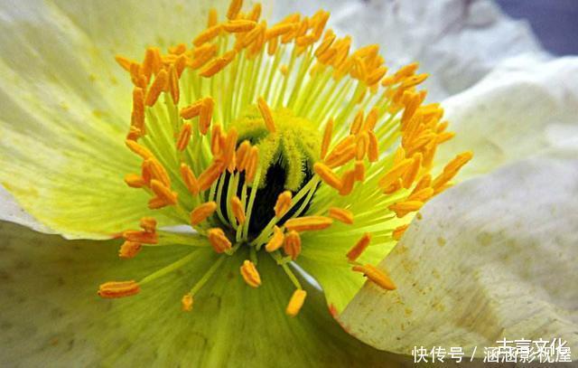 古人为啥说“名字别带蕊和茹,盖房要看屋下土”有何科学依据