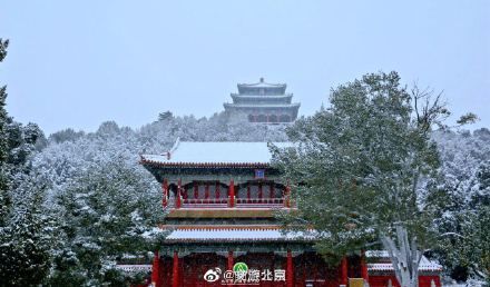 初雪|立冬初雪 北京市属公园美翻天！