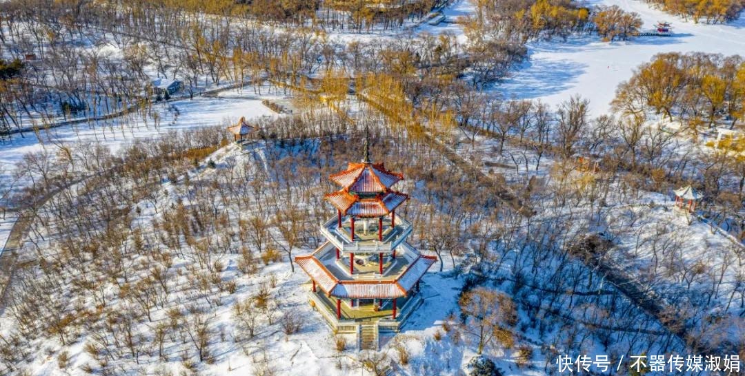 老年|雪后美景看鹤城