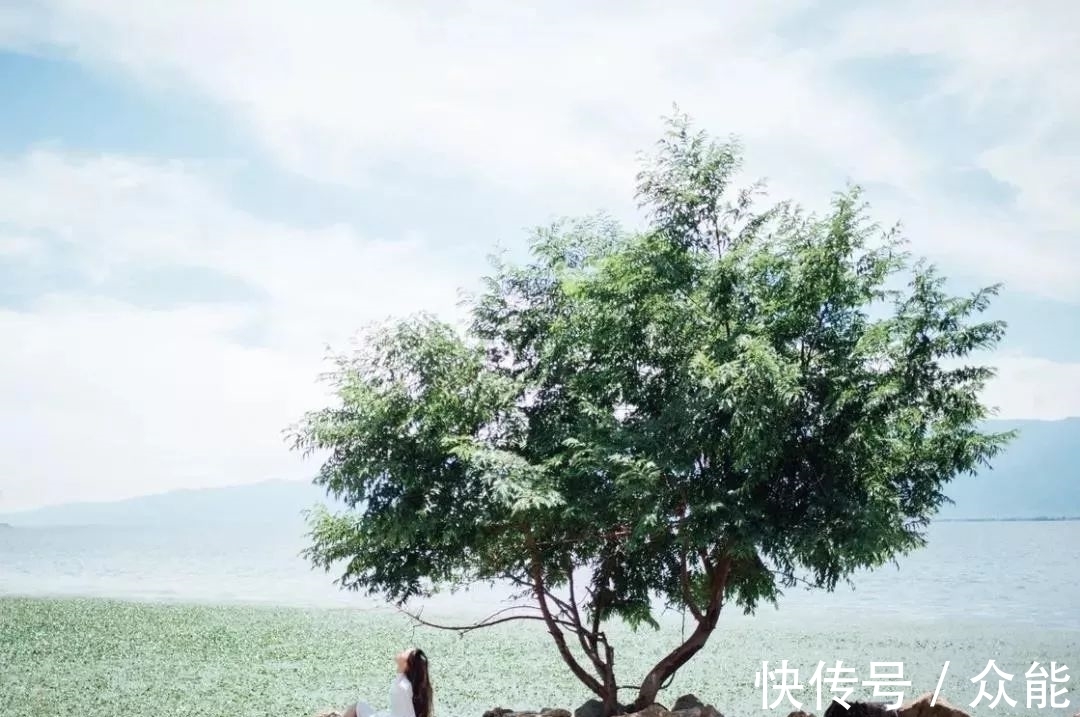 唐诗三百首|25个幽默小短句，哈哈一笑