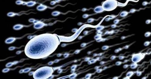 孕妈们|产检时医生都会问些什么问题?早知道避免尴尬!