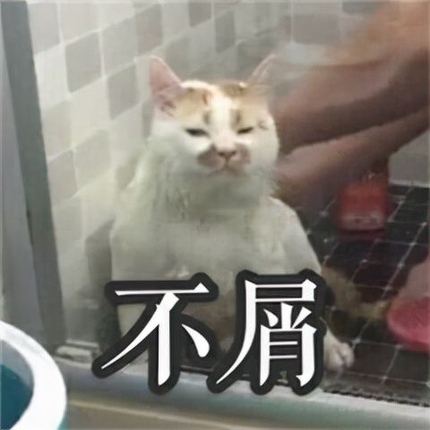 功能|求求微信啦！赶紧下架这新功能吧...