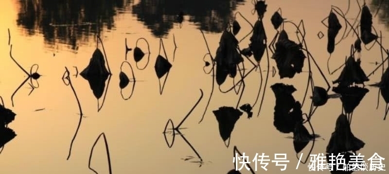 秋凉晚步#杨万里傍晚时分出门散步,信手拈来写下一首诗,充满了诗情画意!