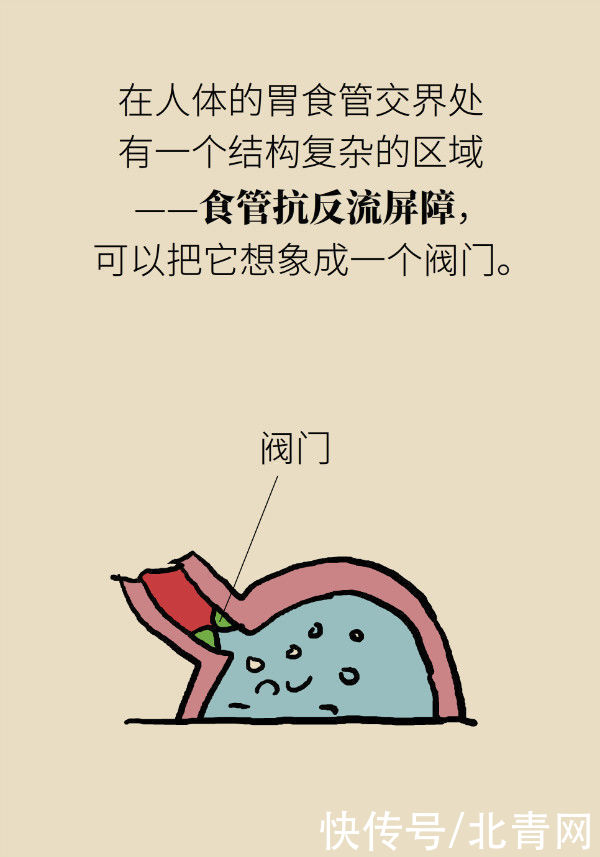 养胃|喝稀饭能养胃?警惕胃酸反流胃更烧