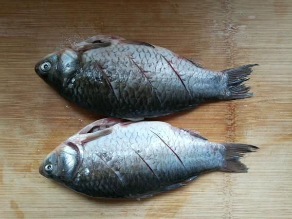 最深|被“误解”最深的鱼,它的全身是宝,比甲鱼营养,一斤5元没人买