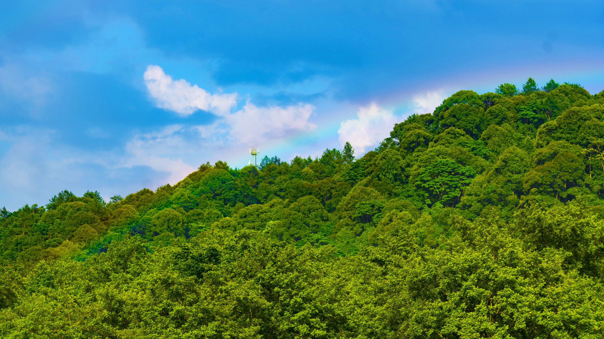 梵净山|梵音净谧梵净山