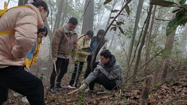 咸宁市博物馆|曾出土西周铜甬钟，咸宁确认两处商周时期遗址