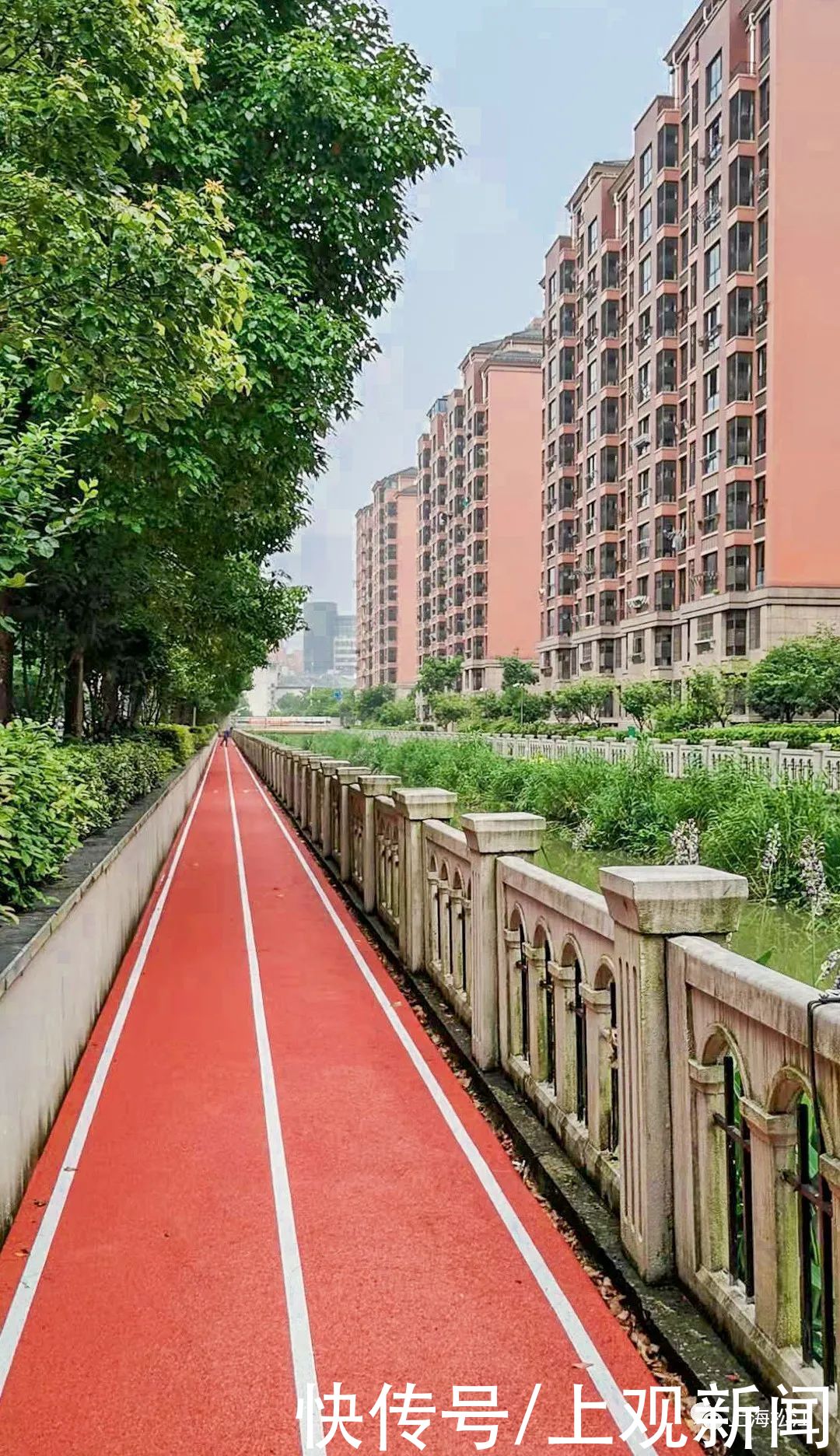 步道|休闲健身好去处！松江这里新增一条健身步道，在你家门口吗？