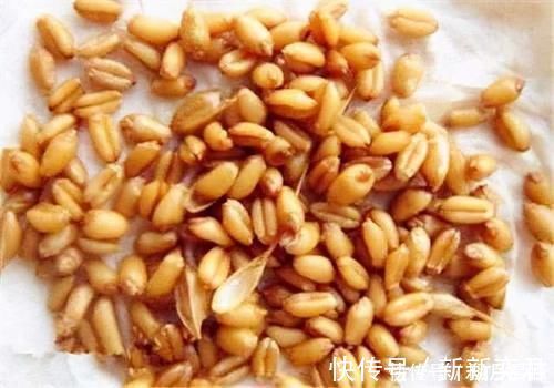 自制|除了煮、泡、发酵,还有这种方法,制作的麦粒,一粒麦子一条鱼