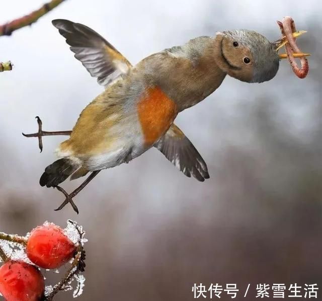 花式秀!儿子画成什么样,爸爸就能P成什么样子,花式秀父爱坐拥百万粉丝