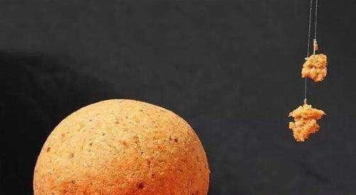 不能钓鱼的8个原因都很吸引人总是有一个适合你的