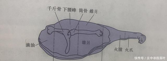 金华火腿|中国的火腿——甘当美食制作中的绿叶