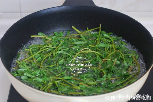 马齿苋|本是菜园里的草,没舍得除掉,随手一拌就是好菜,吃上瘾了