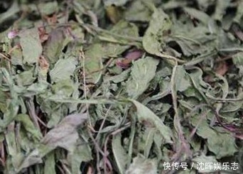 西瓜霜|口腔溃疡虽是小小一个,但却疼痛难忍,一类野草一抹,第二天就好