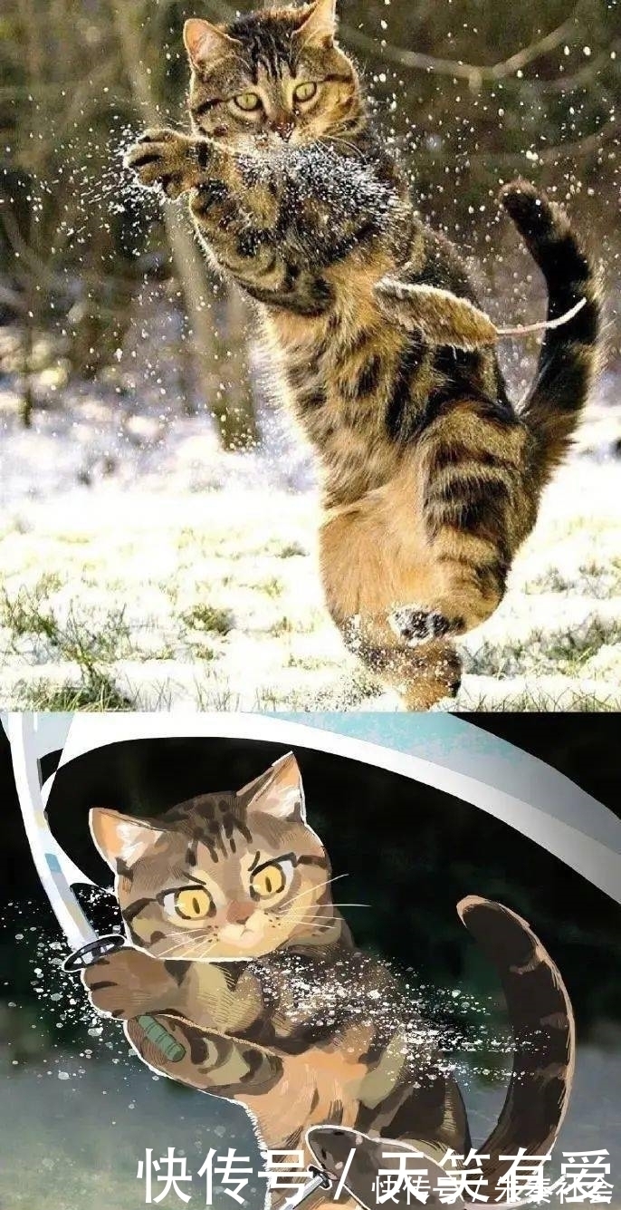 小动物|现实中的小动物漫改成二次元后是什么样？太有故事性了吧！