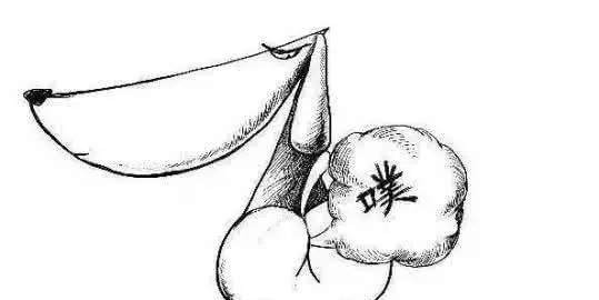 商人|涨姿势几个被误传千年的民间俗语, 你传过吗