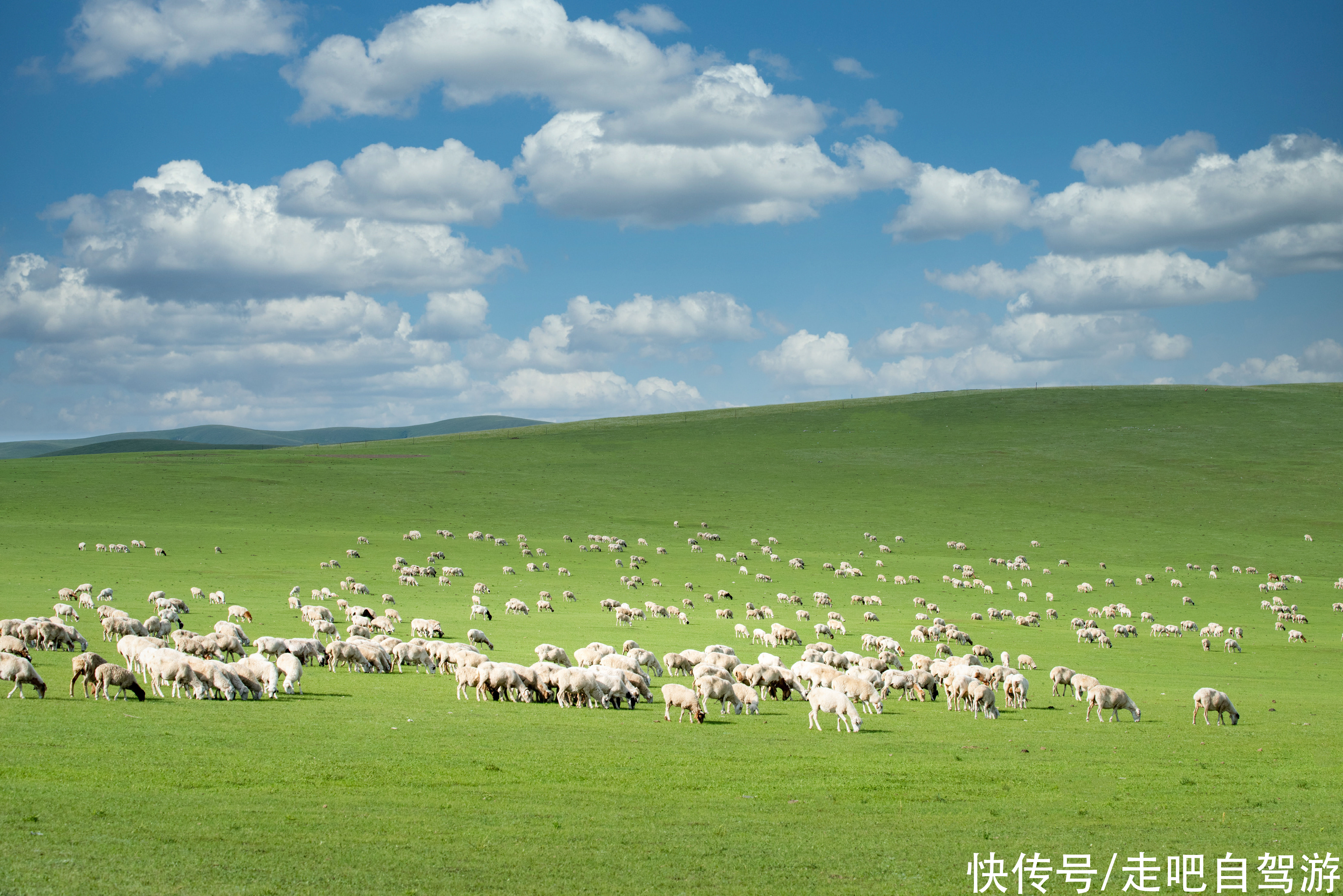 大兴安岭|有一种绝美，叫草原的夏天，有一种青春，叫我们的毕业旅行