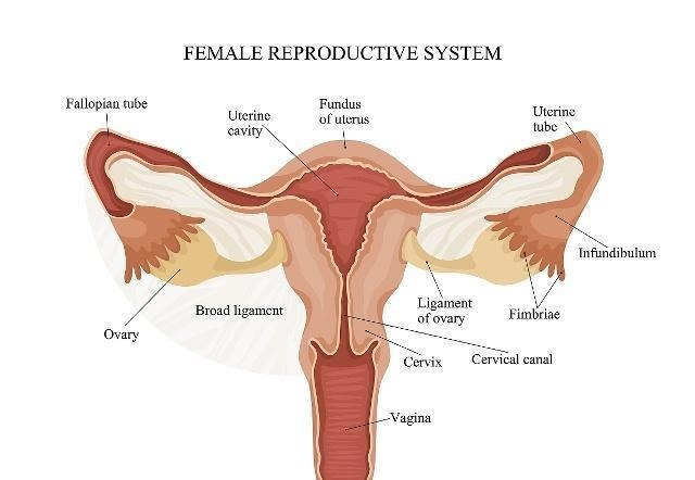 紧急避孕药|最经济有效的避孕方式不一定是避孕套,其实这样的避孕方式也不错