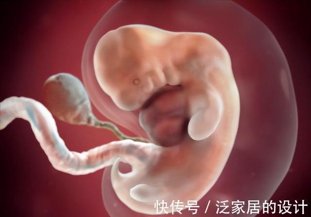 宝宝|孕早期有啥注意事项?孕5~8周,宝宝这些变动,暗示家长要多上心