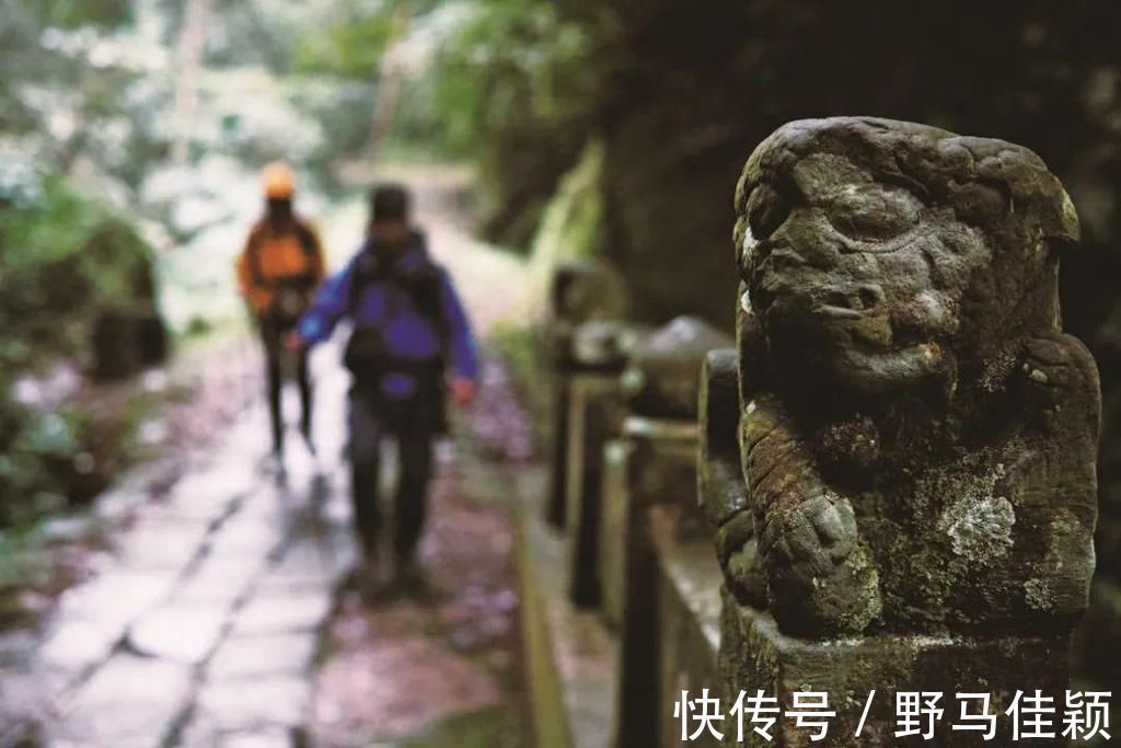 荒野|新书《荒野之旅》：21条经典步道，136幅照片，一场内心的旅程