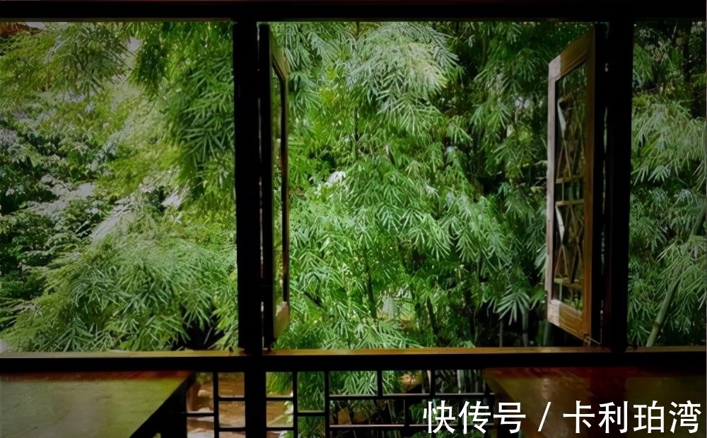 王安石#王安石晚年闲居写下一首《渔家傲》,开篇便是名句,全词意境很美