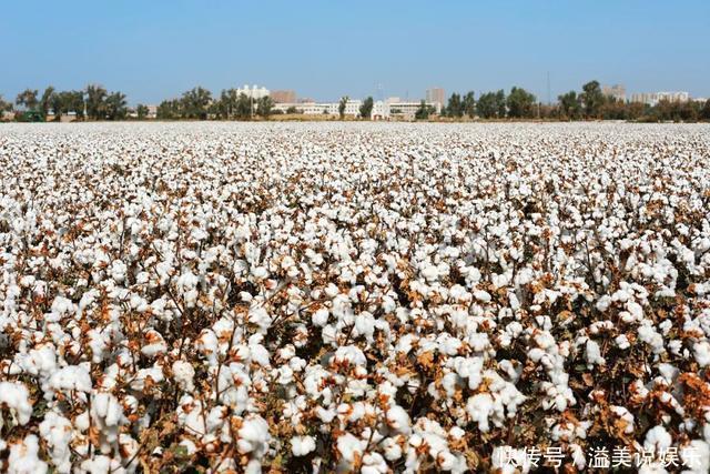 中年|苏州女子探秘南疆巴州:这是一处色彩的世界,超出你的想象