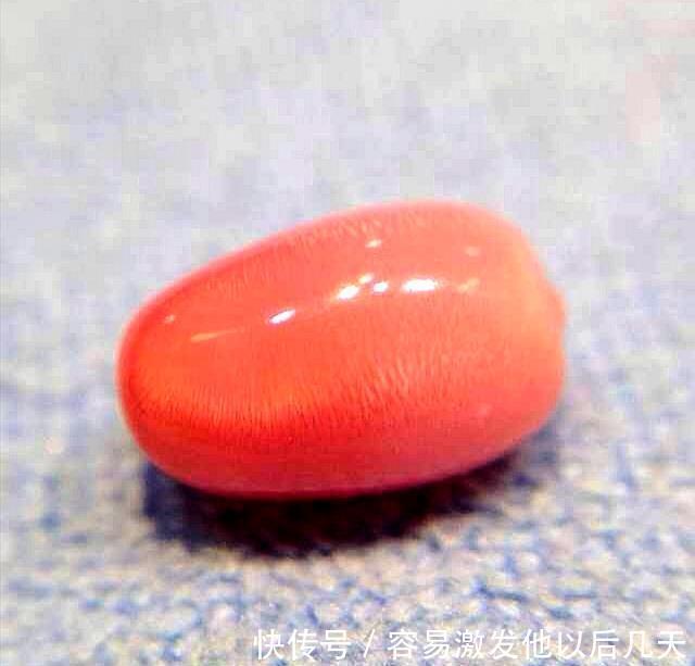 海螺|自然界行走的“彩票”,“吃”出一颗堪比中大奖!