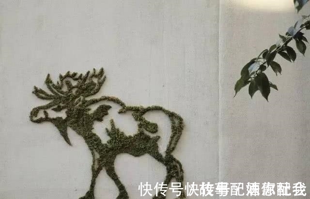 啤酒!他用酸奶、啤酒、苔藓把动物养在墙上,14天后的画面让人惊讶