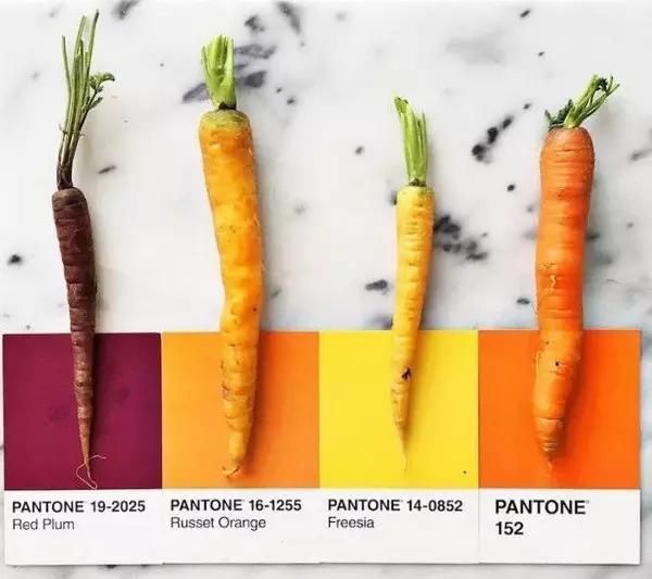 设计师|设计师是好色之徒吧不然怎么能拍出这组创意十足的食物色卡